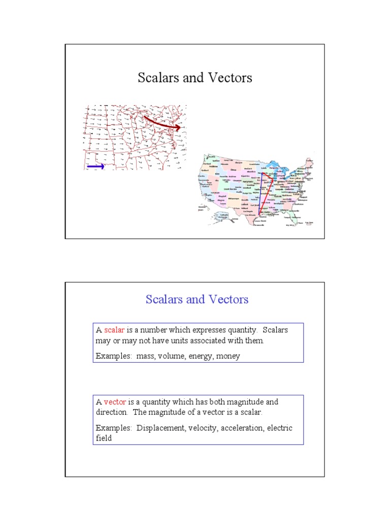 Scalars and Vectors | PDF | Euclidean Vector | Geometry
