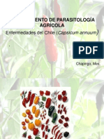 chile diseases.pdf
