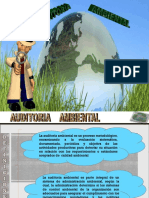 05-08-2019 004455 Am AUDITORIA AMBIENTAL PDF