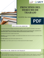 Semana 4-Principios Del Derecho