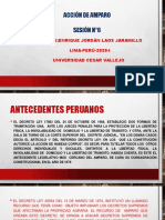 PPT-N°6-ACCIÓN DE AMPARO-(1)-UCV-2020-I- (1).pdf