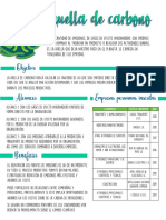 Huella de Carbono PDF