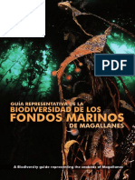 Aldea 2012 Guia Repres Biodiversidad Fondos Marinosmagallanes rm1458 Lite PDF
