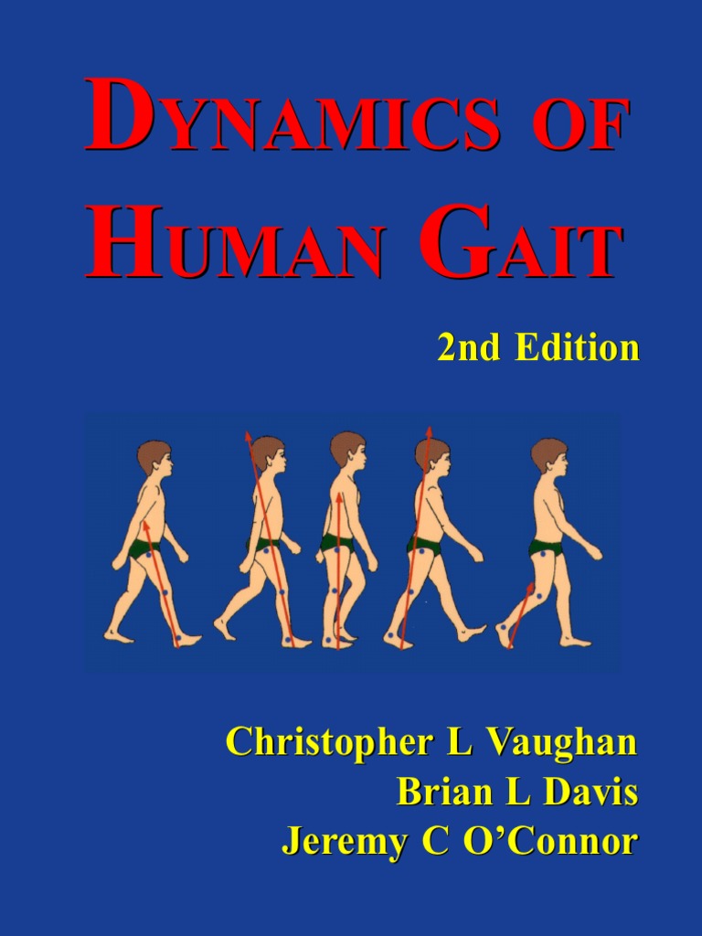 Dynamics of Human Gait PDF | PDF
