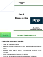 Clase 5 - BioenergÃ©tica TS 2019-2