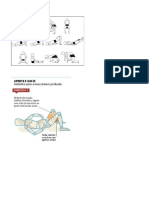 EXERCICIOS PELVIS