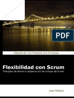 Flexibilidad Con Scrum-comprimido