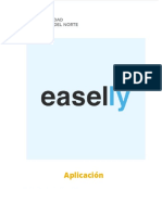 Manual Eyylsy PDF