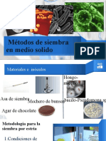 microbiologia siembras de inoculos.pptx