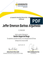 Gestion Integral de Riesgo - 2020-2 PDF