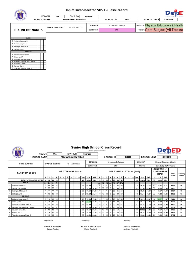 Input Data Sheet For SHS E-Class Record: Learners' Names | PDF ...