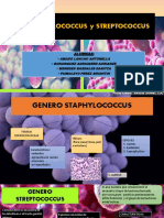 STAPHYLOCOCCUS y STREPTOCOCCUS