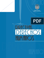 Directivas DDHH