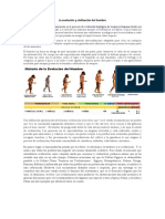 La Evolución y Civilización Del Hombre