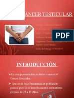 Cancer Testicular 2