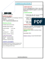 CV Finance Career Summary