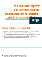 Trayectorias A La Muerte, Aspectos Culturales de La Enfermedad y La Muerte. Atención Hospitalaria Ambulatoria y Domiciliaria