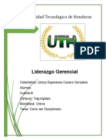 Tarea Primer Parcial Gerencia de Liderazgo