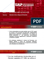 EL PROCESO UNICO DE EJECUCION - UAP - FN