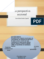 Sobre La Perspectiva Accional