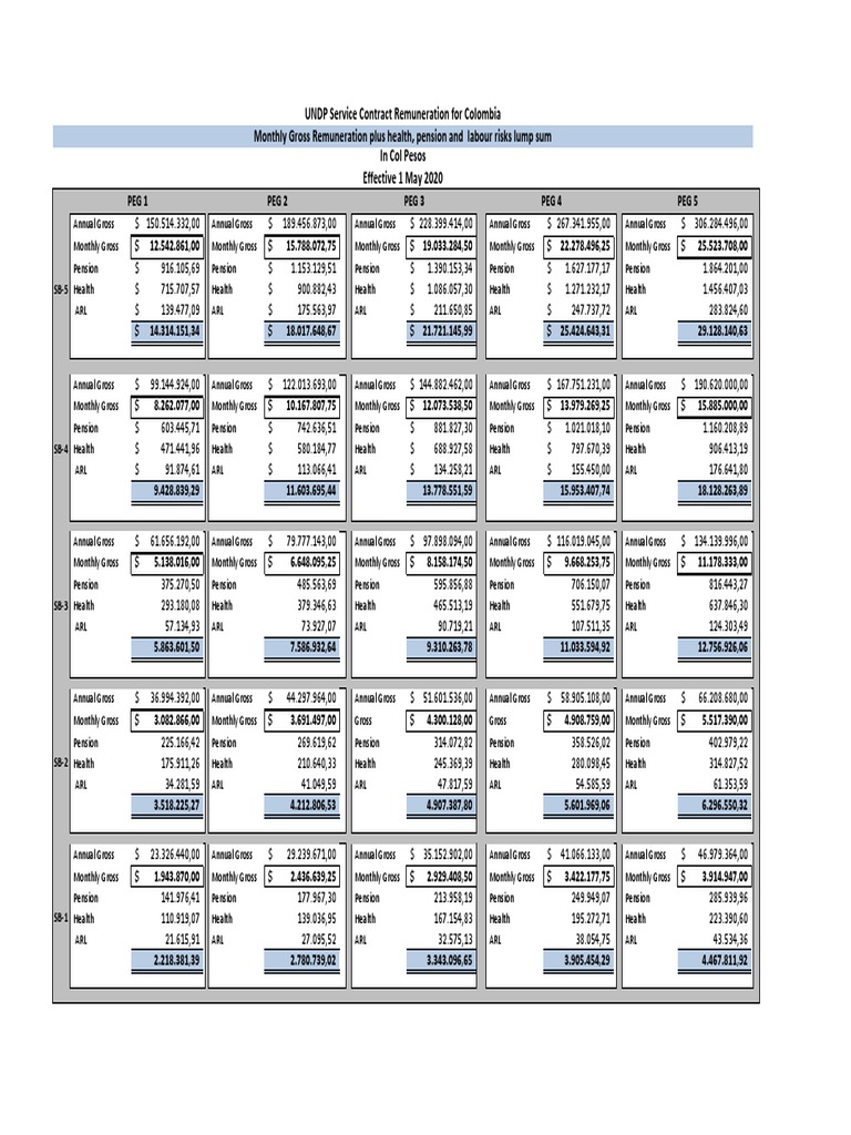 UNDP Salary Scale 2025 Overview | PDF | Factor Income Distribution ...