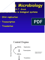 Transcription Transcription - Translation Information Flow in Biological Systems - DNA Replication PDF