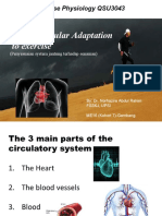 Topic 4 - Cardio-Respiratory Adaptation To Exercise - Kohort Gambang