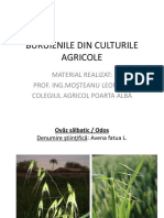 94274172-Buruienile-Din-Culturile-Agricole.pdf