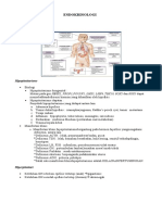 ENDOKRINOLOGI 