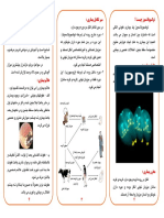 Toxoplasmosis