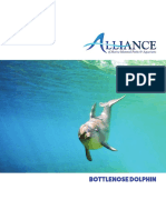 AMMPA DolphinFactSheet FINAL Web