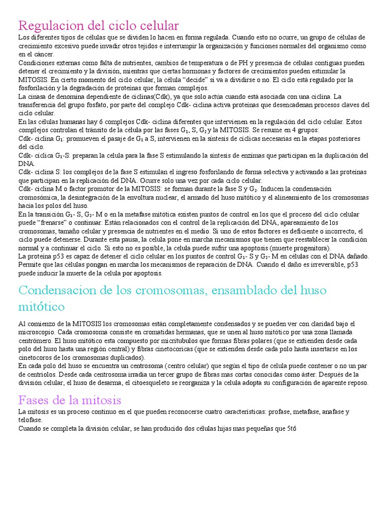 Regulación del Ciclo Celular y Mitosis | PDF | Ciclo celular | Mitosis