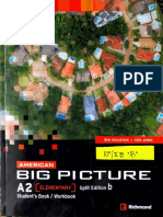 Big Picture A2