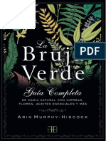 La bruja verde.pdf