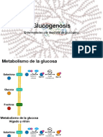 Glucogenosis PDF