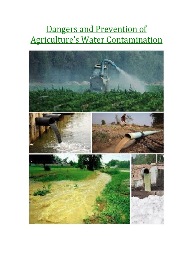 Agriculture's Role in Water Pollution | PDF | Water Pollution | Human ...