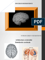 Introducere in Neurostiinte Curs 2
