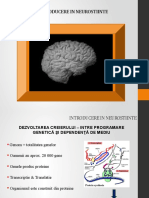 Introducere in neurostiinte curs 4.pptx