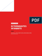 CTE - Ectoparasites in Rabbits PDF
