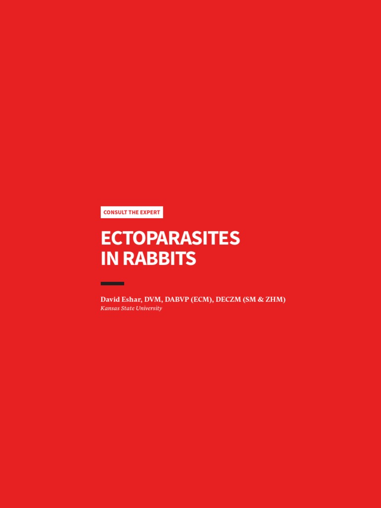 Ectoparasites in Rabbits: Diagnosis & Care | PDF | Parasitism | Medical ...