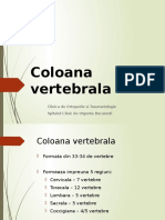 335702691-Coloana-vertebrala.pdf