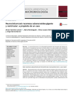 Neurocisticercosis Racemosa Subaracnoidea Gigante y - 2015 - Revista Argentina D