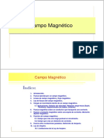 Campo Magnetico PDF