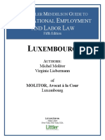 Int Employment Law 2017 Luxembourg