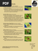 Tick Species in Kentucky