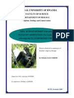 Reseach Memoir On Cyamudongo Chimps 2009