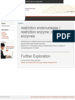 Restriction Endonuclease - Restriction Enzyme Restriction Enzymes