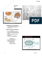 BACTERIAL MORPHOLOGY AND ULTRASTRUCTURE - Dr. Guinto