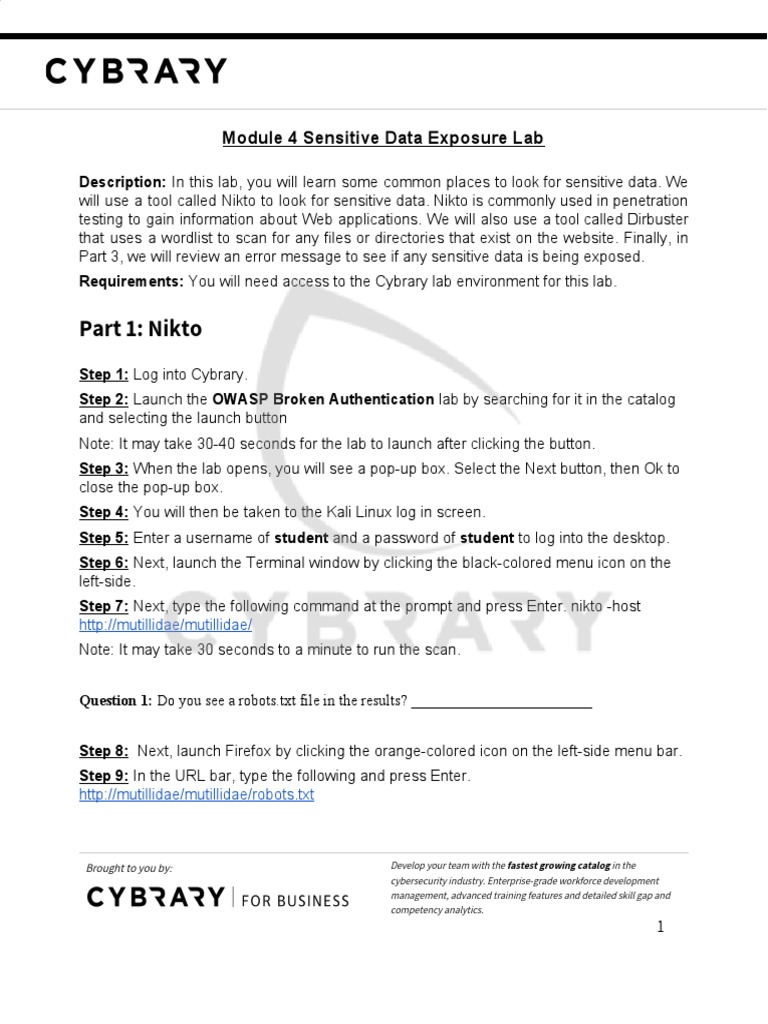 Nikto Lab for Sensitive Data Exposure | PDF | Icon (Computing ...