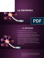 La Neurona